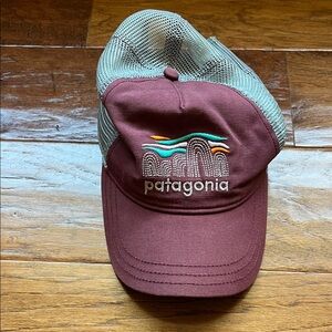 Patagonia Burgundy and Gray Cap